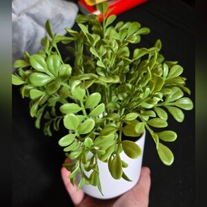 Vibrant Faux Succulent in White Pot